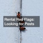 Rental Red Flags: Looking for Pests