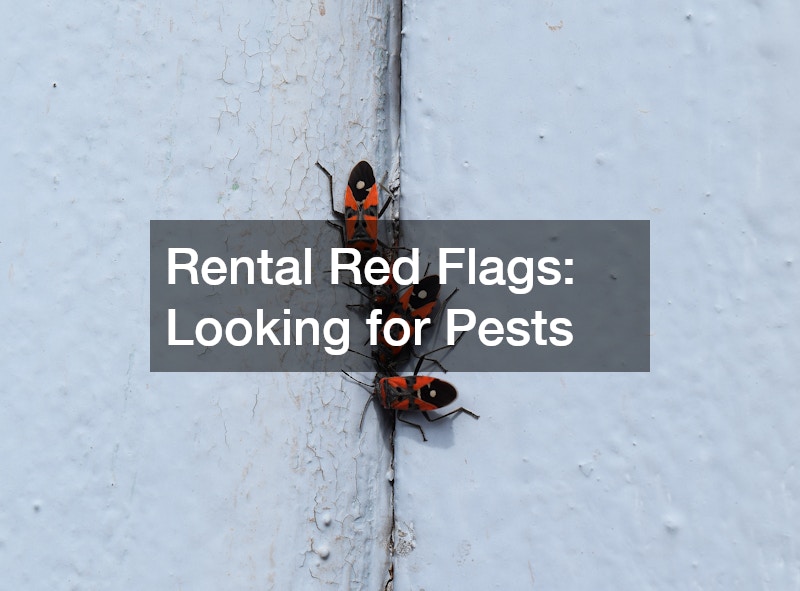 Rental Red Flags: Looking for Pests